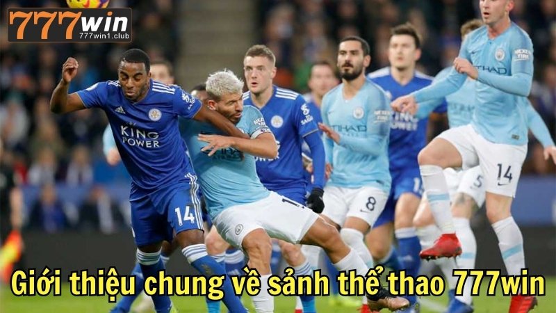 Giới thiệu chung về sảnh thể thao 777win